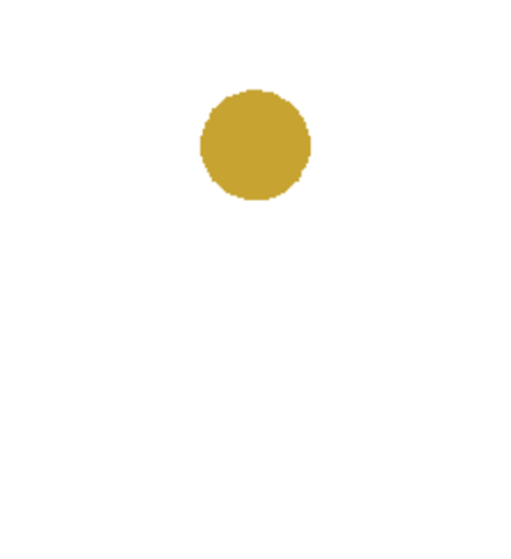 InsuOrg