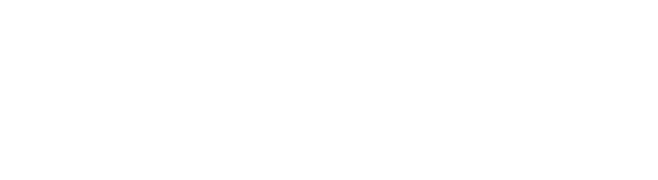 Insuorg